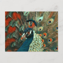 Postkreuzung farbiger Pfau Postkarte