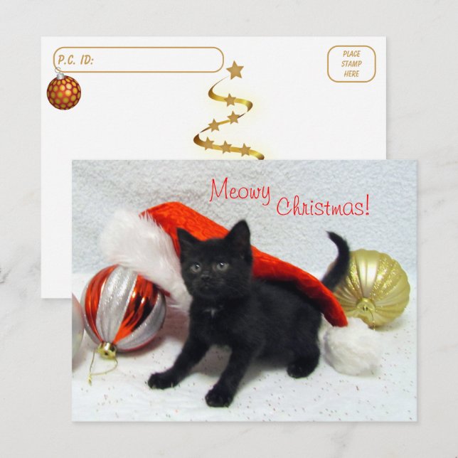 Postkreuzung - Joons Weihnachten - Katze / Kitten Postkarte (Vorne/Hinten)