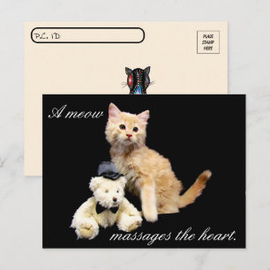Postkreuzung - Katzenbild - Sundrop und Teddy Bear Postkarte