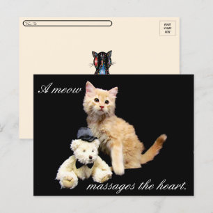 Postkreuzung - Katzenbild - Sundrop und Teddy Bear Postkarte