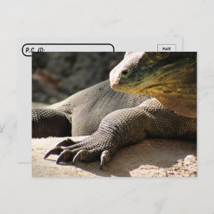 Postkreuzung - Komodo Dragon Postkarte