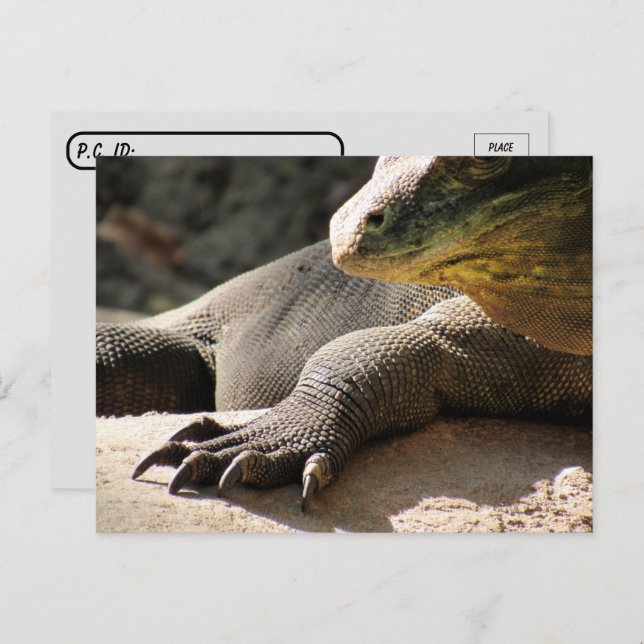Postkreuzung - Komodo Dragon Postkarte (Vorne/Hinten)