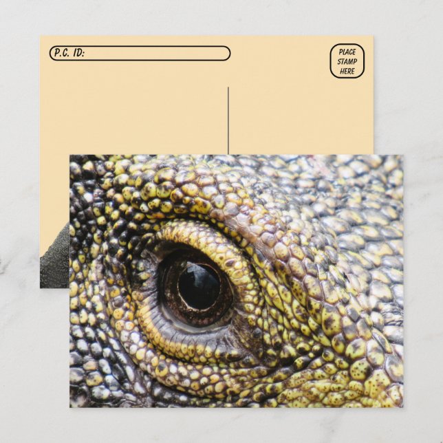 Postkreuzung - Krokodile Monitor Lizard Postcard Postkarte (Vorne/Hinten)