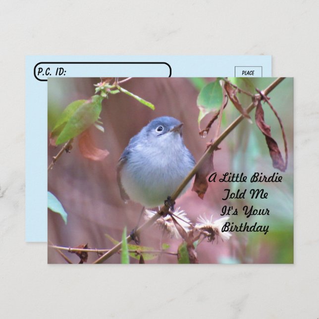 Postkreuzung Little Birdie Birthday Postcard Postkarte (Vorne/Hinten)
