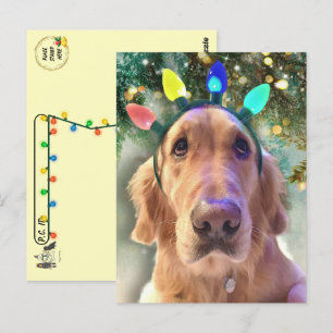 Postkreuzung - Nova Golden Retriever's Christmas Postkarte