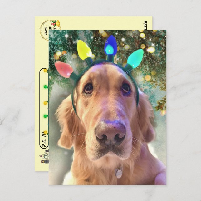 Postkreuzung - Nova Golden Retriever's Christmas Postkarte (Vorne/Hinten)