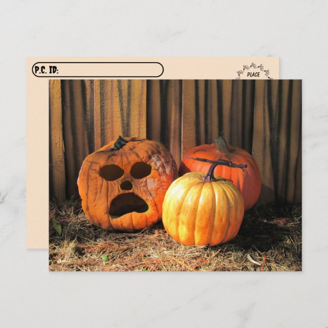 Postkreuzung - Rotten Pumpkins Halloween Postcard Postkarte (Vorne/Hinten)