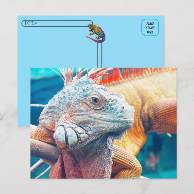 Postkreuzung - Schöne iguana Postkarte (Vorne/Hinten)