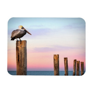 Posts & a Pelican   Fort Myers Beach, Florida Magnet