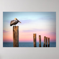 Posts & a Pelican | Fort Myers Beach, Florida