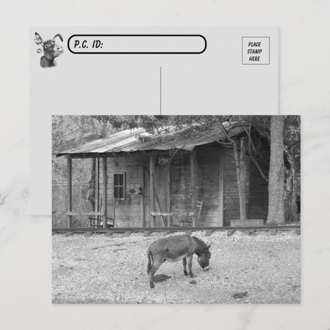 Postübergang Kabine und Donkey im B&W Postkarte (Vorne/Hinten)