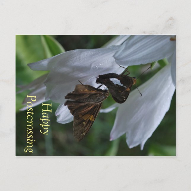 Postübergang Postkarte (Vorderseite)