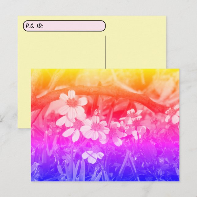 Postüberqueren der 70er Jahre Sichtbare Wildblumen Postkarte (Vorne/Hinten)