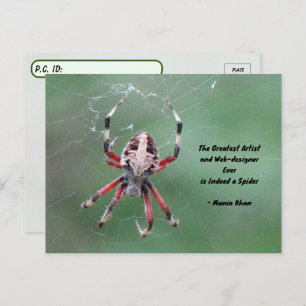 Postüberqueren der Gepunkteten Orbweaver Spider Po Postkarte