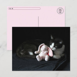 Postüberqueren einiger sonniger Lieben - Katze Pos Postkarte