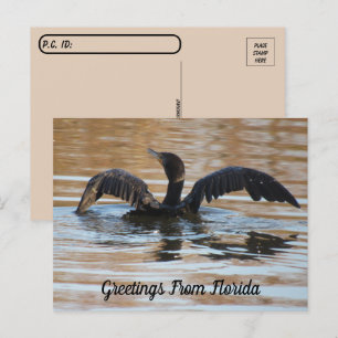 Postüberqueren von doppeltem Kormoran Postkarte