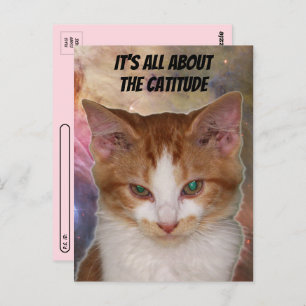 Postüberqueren von Rebas Katitude Postcard Postkarte