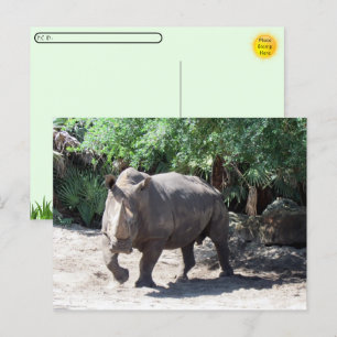 Postüberqueren von Rhinoceros Postkarte