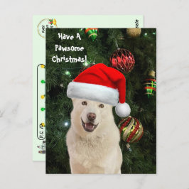 Postüberqueren von Santa Paws - Das glückliche Wei Postkarte