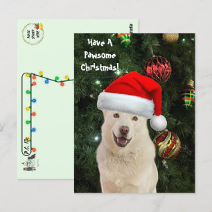 Postüberqueren von Santa Paws - Das glückliche Wei Postkarte