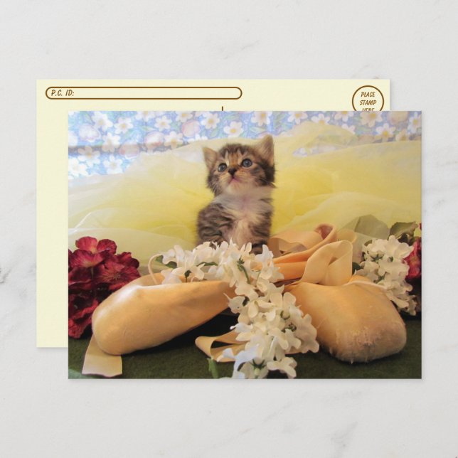 Postüberquerung Ballerina Katze / Kätzchen Postkar Postkarte (Vorne/Hinten)