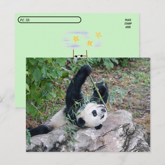 Postüberquerung Bild eines Riesenpanda Postkarte (Vorne/Hinten)