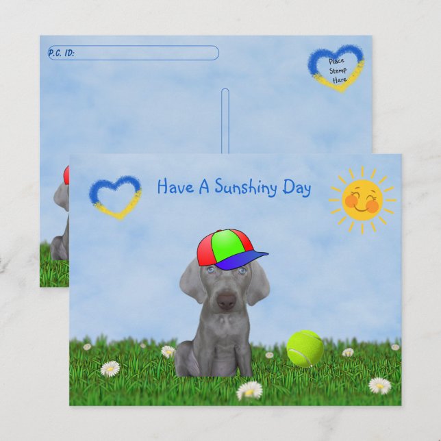 Postüberquerung - Brooklyn der Weimaraner Spaß Tag Postkarte (Vorne/Hinten)