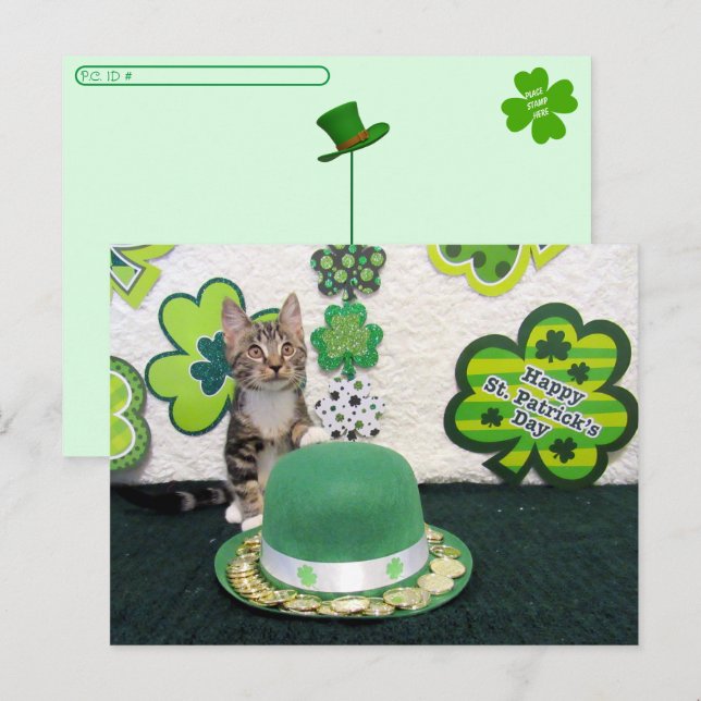 Postüberquerung - Der St. Patrick's Day der Katze Postkarte (Vorne/Hinten)