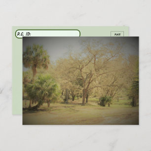 Postüberquerung der urwaldgeszene Stadt Quaint Flo Postkarte