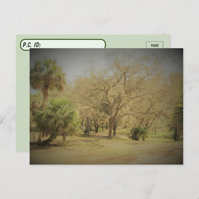 Postüberquerung der urwaldgeszene Stadt Quaint Flo Postkarte (Vorne/Hinten)