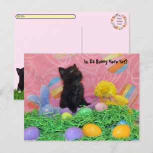 Postüberquerung - Iz Da Easter Bunny hier noch? Os Feiertagspostkarte