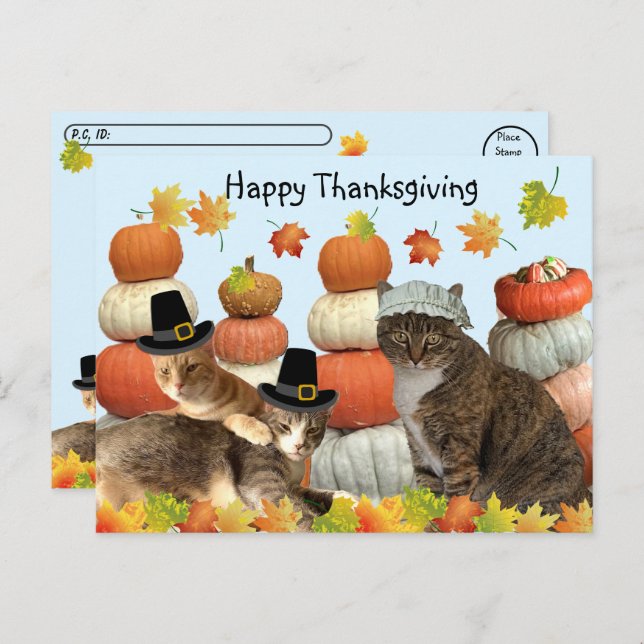 Postüberquerung - Katzen, Pumpkins und Herbstlaube Postkarte (Vorne/Hinten)