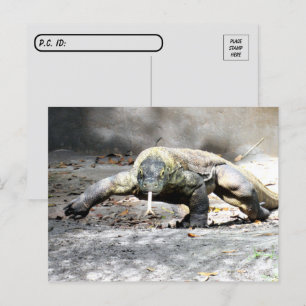 Postüberquerung - Komodo Dragon kommt für Sie Postkarte