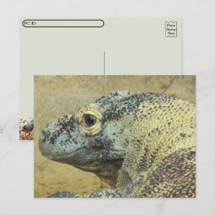 Postüberquerung - Komodo Dragon Postkarte