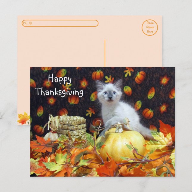 Postüberquerung - Savannah Siamese Cat's Erntedank Postkarte (Vorne/Hinten)