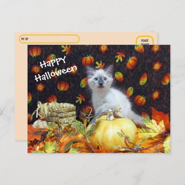 Postüberquerung - Savannahs Halloween Postkarte -  (Vorne/Hinten)
