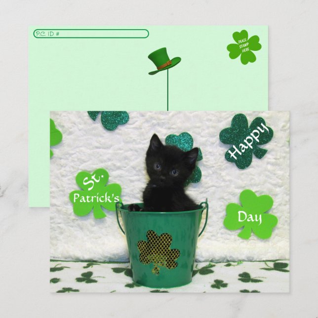 Postüberquerung Schöner Jack = Katze St. Patrick's Postkarte (Vorne/Hinten)