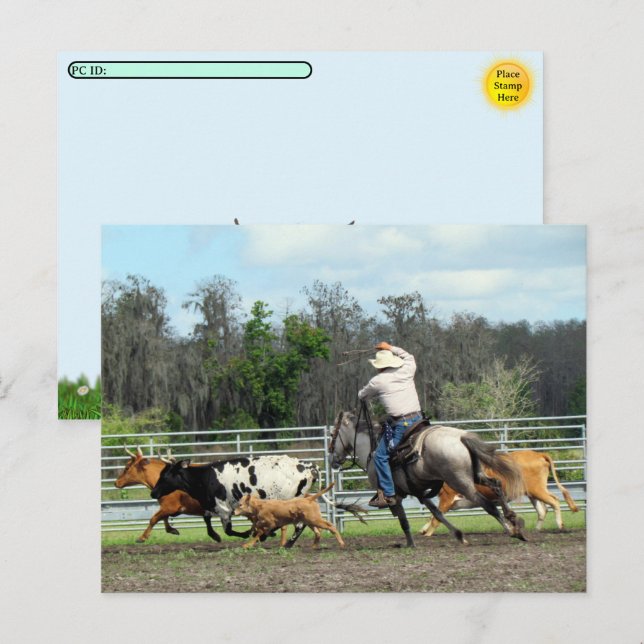 Postüberquerung - The Roundup - Cowboy Postcard Feiertagspostkarte (Vorne/Hinten)