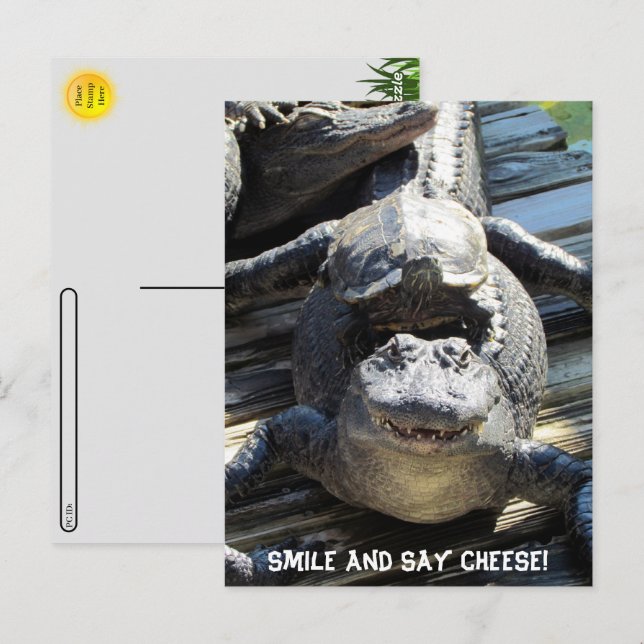 Postüberquerung - Ultimate Florida Tourist Postkar Postkarte (Vorne/Hinten)