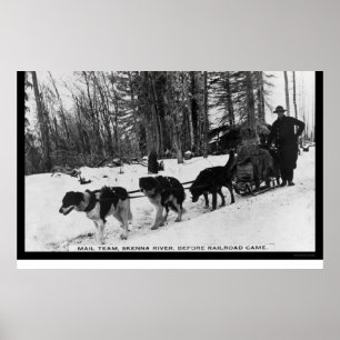 Postzustellung durch ein Dog Team 1905 Poster