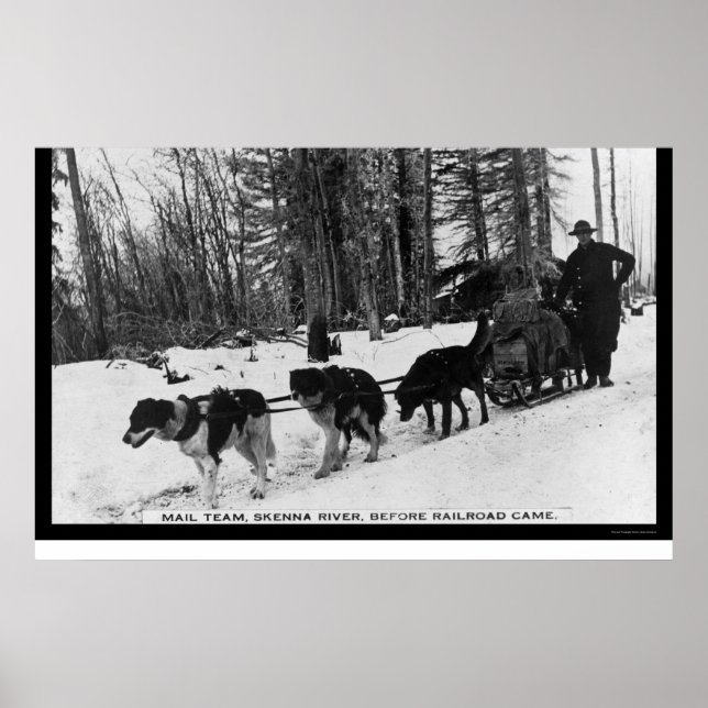 Postzustellung durch ein Dog Team 1905 Poster (Vorne)