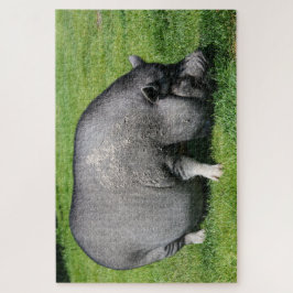 Pot-Bauchschwein auf dem Rasen-Puzzle Puzzle