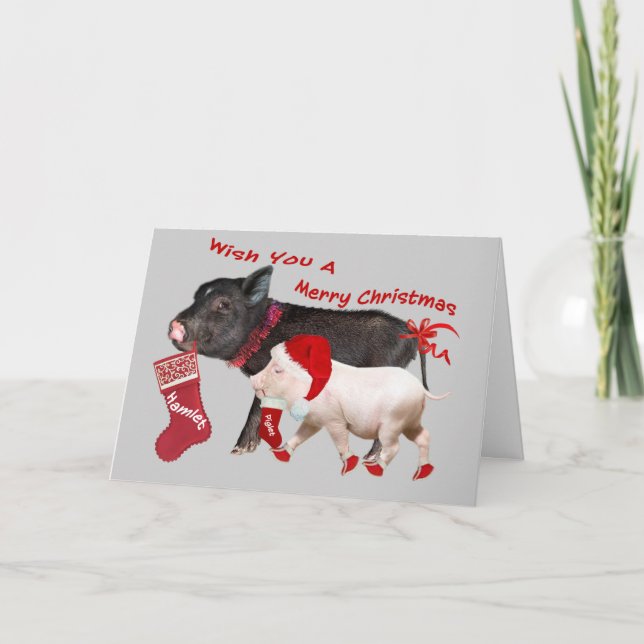 Pot Belly Pig Frohe Weihnachten (Vorderseite)