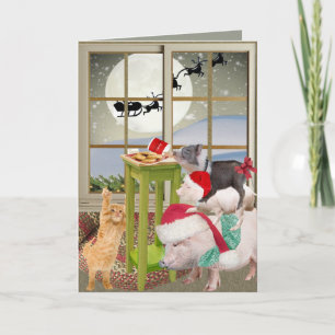Pot Bly Pig Weihnachtskarten Feiertagskarte
