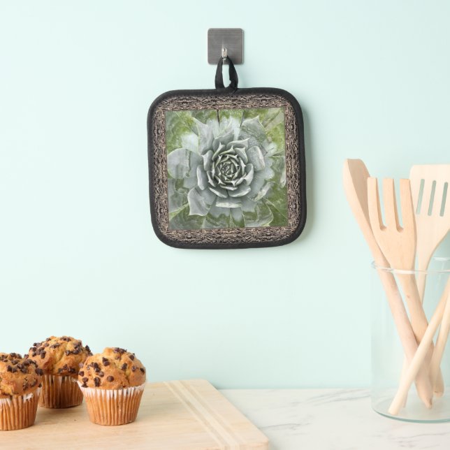 Pot Holder mit einem schönen Sukkulenten Topflappen (Insitu (Hängend))