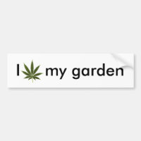 Pot_leaf_tattoo, I my garden