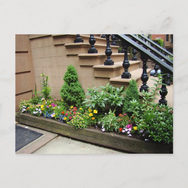 Pot O Trouble Postkarte (Vorderseite)