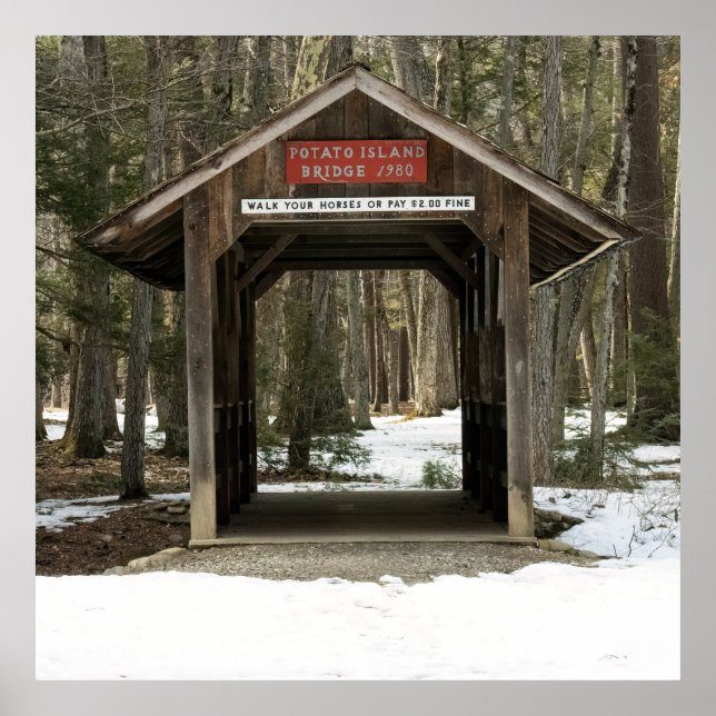 Potato Island Bridge Poster (Vorne)