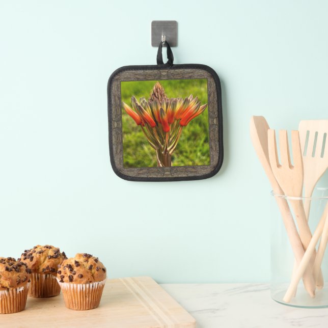 Pothalter mit auffallender Orange-Aloe-Blume Topflappen (Insitu (Hängend))