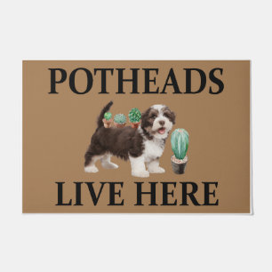 Potheads leben hier, Dog Geschenk Lover Shih Tzu Fußmatte